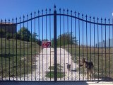 SS03-cancello.jpg